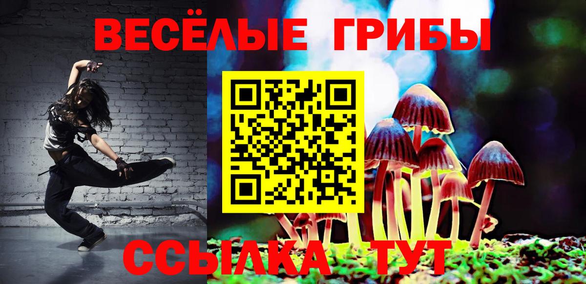 Псилоцибиновые грибы Psilocybe  Вход с VPN  Полевской  Галлюциногенные грибы MAGIC MUSHROOMS 